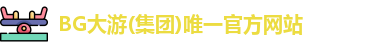 BG大游电子首页